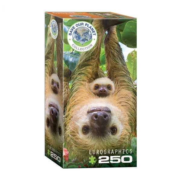 تصویر  (8251-5556)Sloths
